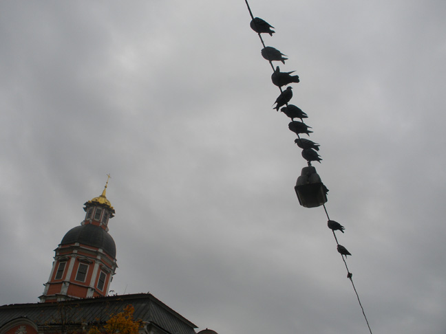 P9272877.JPG