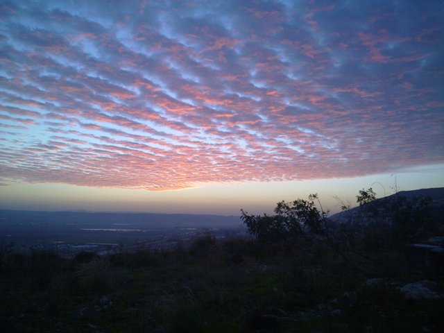 Picture 002S.jpg