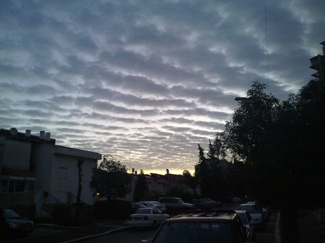 Picture 001S.jpg