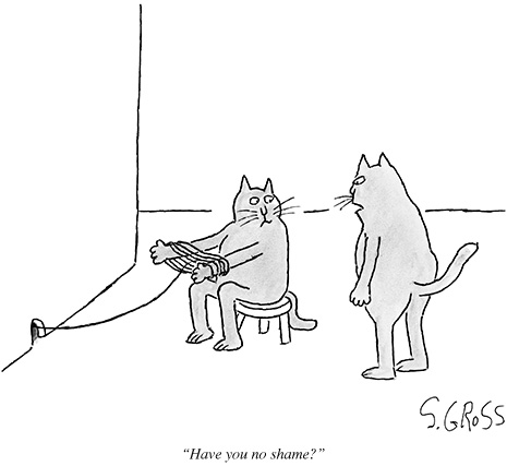 cats.jpg