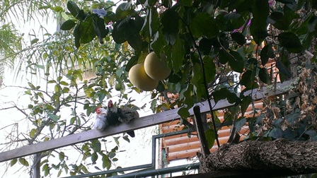 IMAG0186.jpg
