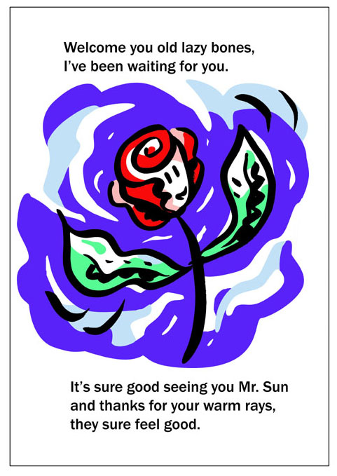 Rose